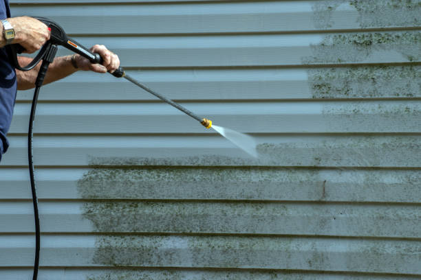 Best Exterior Home Cleaning  in Wahpeton, ND