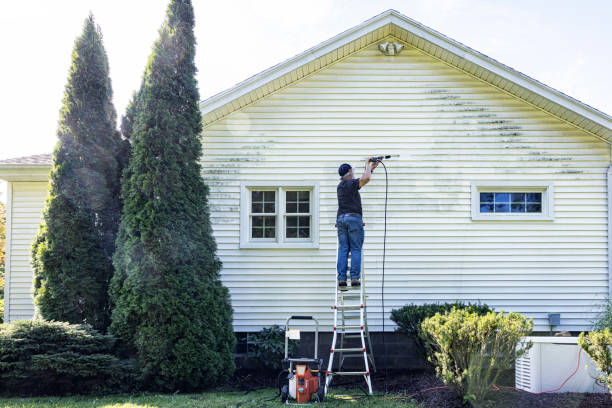 Best Affordable Pressure Washing  in Wahpeton, ND