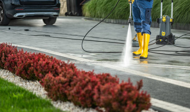 Best Roof Power Washing Services  in Wahpeton, ND